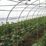 DIY heated greenhouses