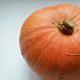 Rules for growing pumpkins in open ground, planting methods and care features Growing pumpkins in open ground in Siberia