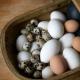 Haşlanmış yumurtalar buzdolabında ne kadar süre saklanabilir: gün cinsinden terimler