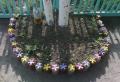 DIY plastflaska blommor: blåklint, rosor och clivia