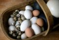 Колко време могат да се съхраняват варени яйца в хладилника: срокове в дни