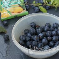 Methods for preparing several types of blackthorn compote for the winter Blackthorn compote for the winter